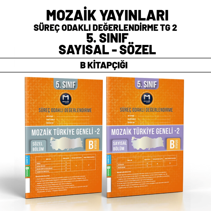 MOZAİK 5 2B.png